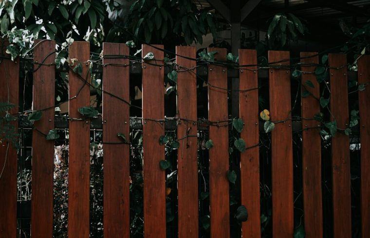 A wooden fence covered with climbing plants in a garden setting.
